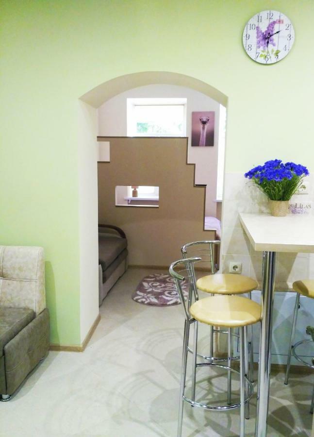 Apartment M&K In The Center Lviv Buitenkant foto
